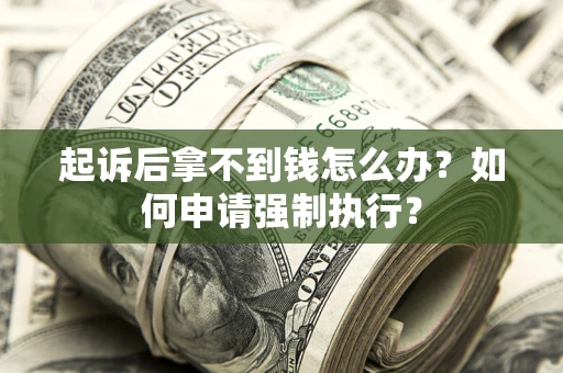 济南起诉后拿不到钱怎么办？如何申请强制执行？
