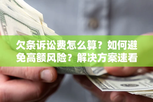 济南欠条诉讼费怎么算？如何避免高额风险？解决方案速看！