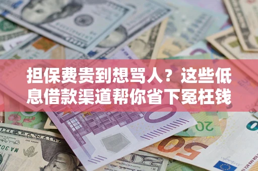 济南担保费贵到想骂人？这些低息借款渠道帮你省下冤枉钱