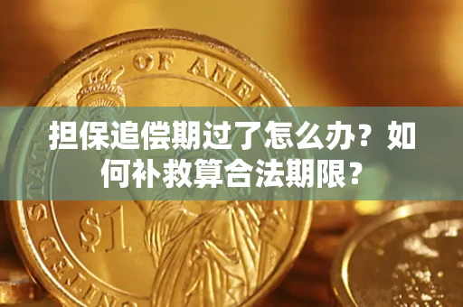 济南担保追偿期过了怎么办？如何补救算合法期限？