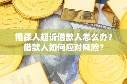 济南担保人起诉借款人怎么办？借款人如何应对风险？