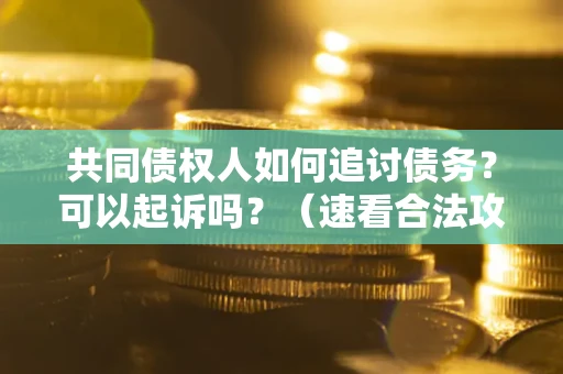 济南共同债权人如何追讨债务？可以起诉吗？（速看合法攻略）